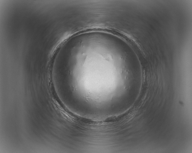 X0000056371359200509021803