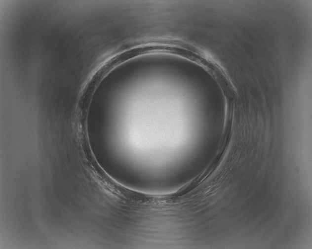 X0000056371360200509021803