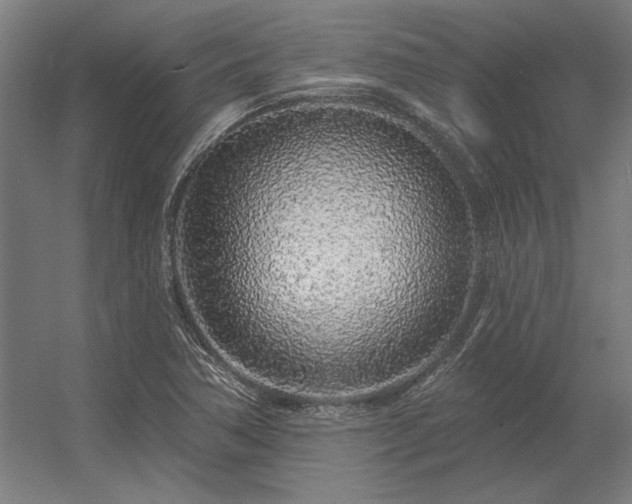 X0000056371362200509021803