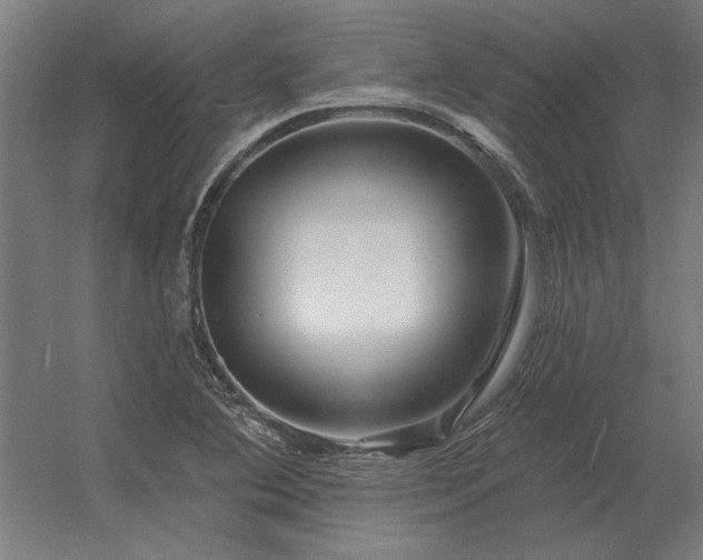 X0000056371364200509021803