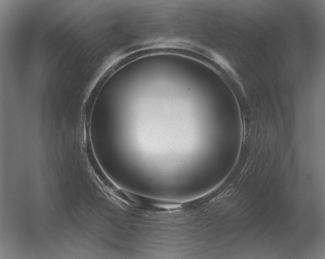 X0000056371368200509021803