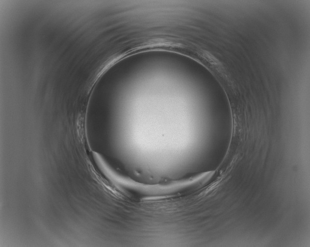 X0000056371369200509021803