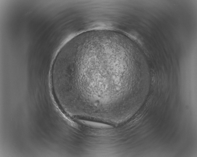 X0000056371375200509021803