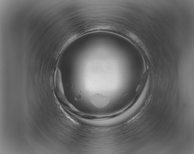 X0000056371377200509021803