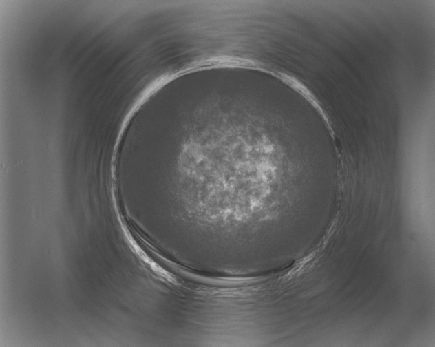 X0000056371381200509021803