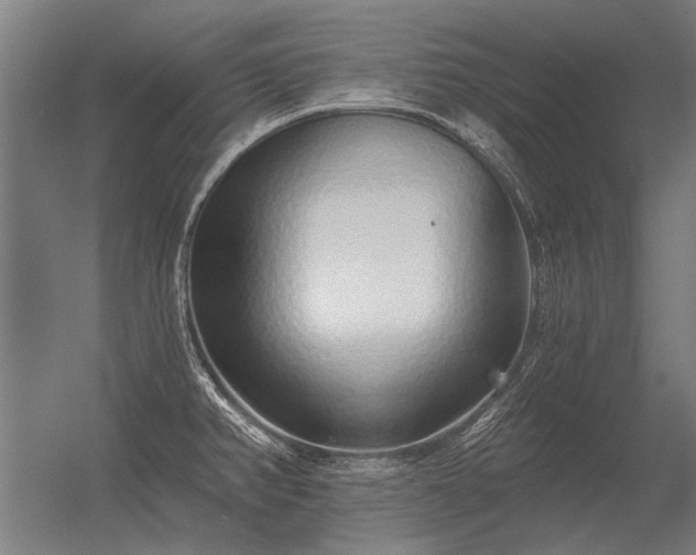 X0000056371382200509021803