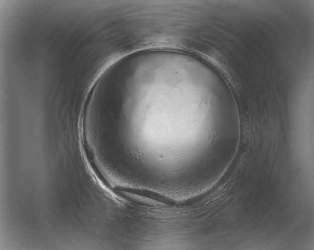 X0000056371383200509021803