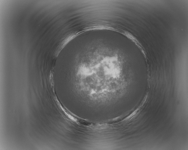 X0000056371385200509021803