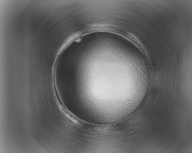 X0000056371386200509021803