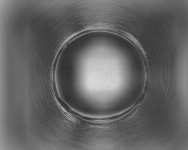 X0000056371388200509021803