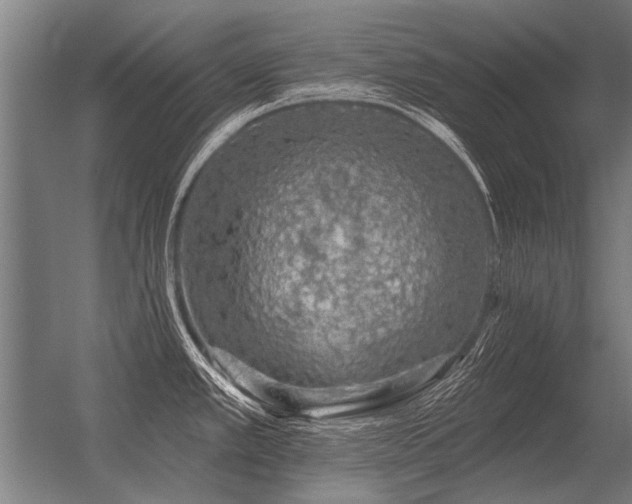 X0000056371389200509021803