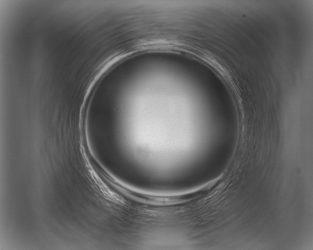 X0000056371392200509021803