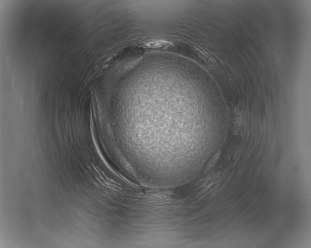 X0000056371394200509021802