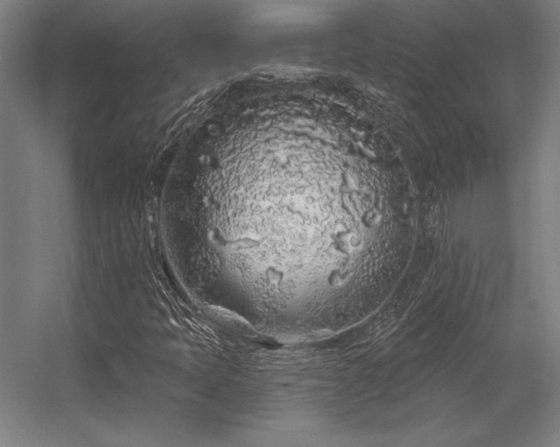 X0000056371397200509021802