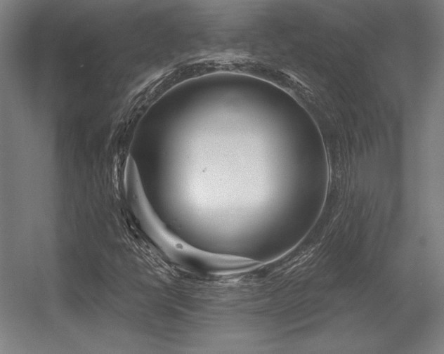 X0000056371398200509021802