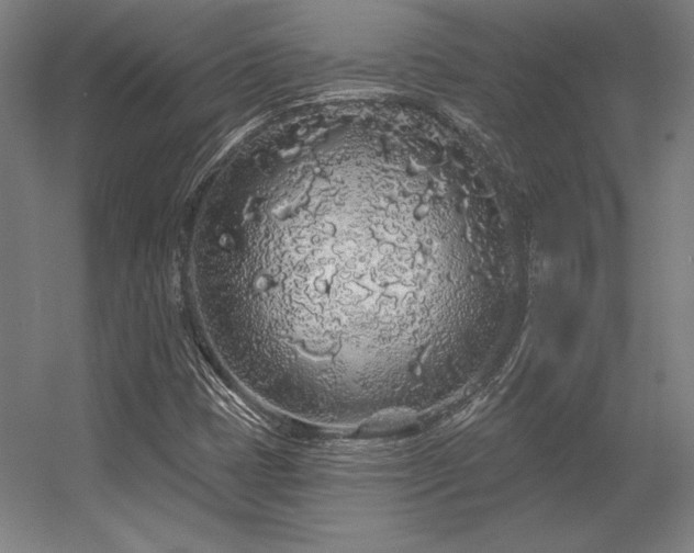 X0000056371401200509021802