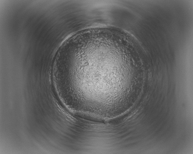 X0000056371409200509021802