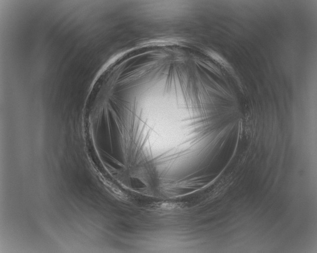 X0000056371412200509021802