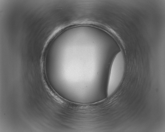 X0000056371416200509021802