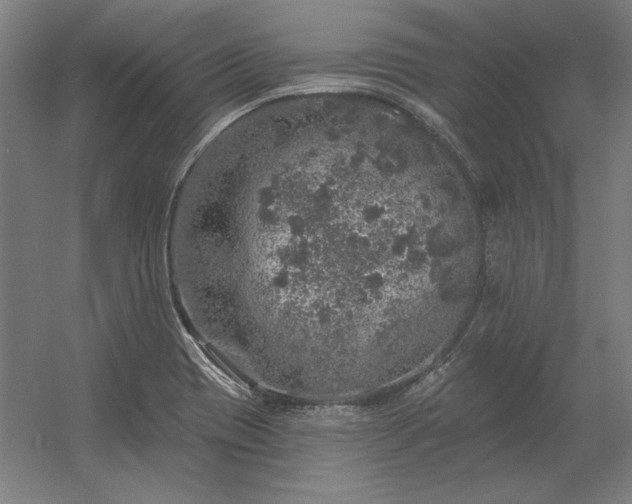 X0000056371417200509021802