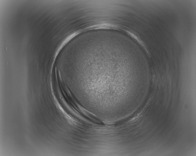 X0000056371418200509021802