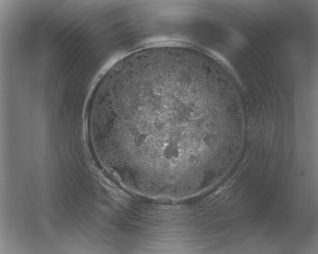 X0000056371419200509021802