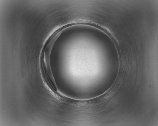 X0000056371422200509021802