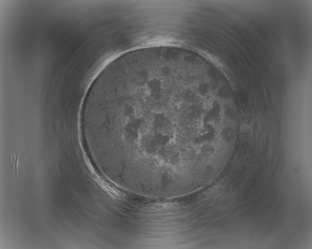 X0000056371423200509021802