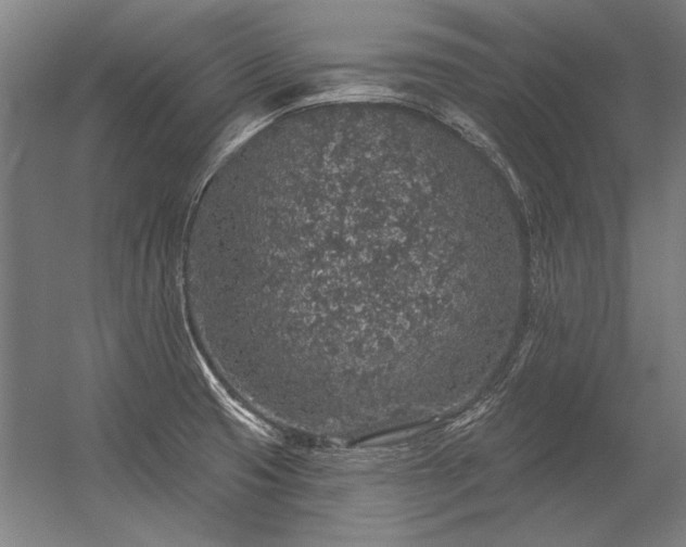 X0000056371425200509021802