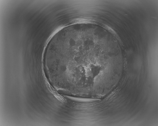 X0000056371427200509021802