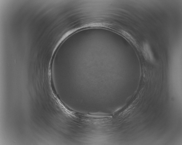 X0000056371428200509021802