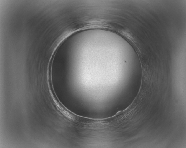 X0000056371431200509021802