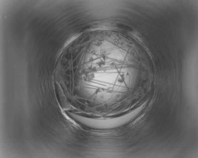 X0000056371433200509021802