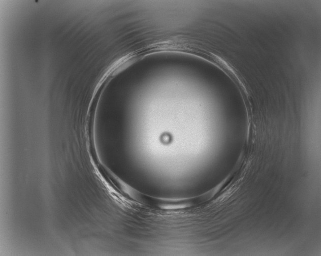 X0000056371434200509021802