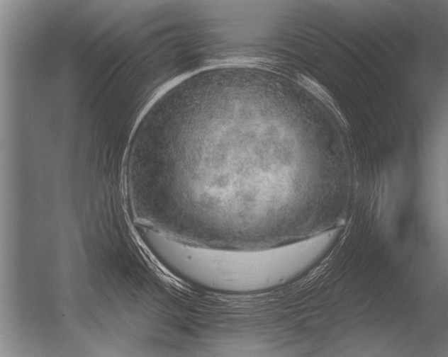 X0000056371436200509021802