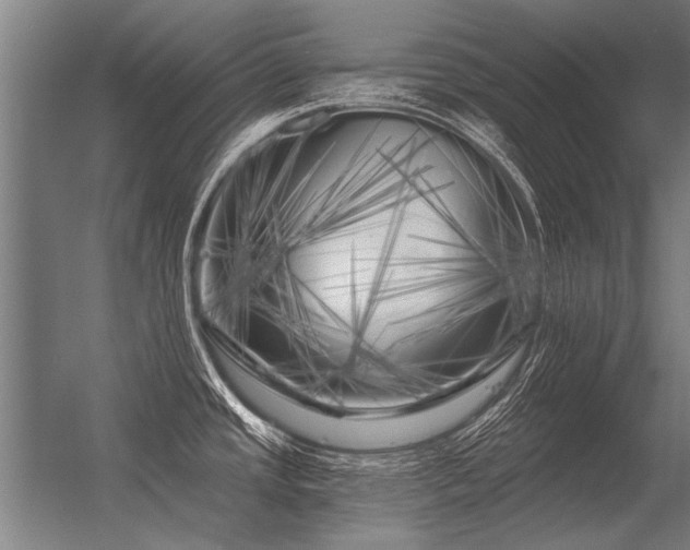 X0000056371437200509021802