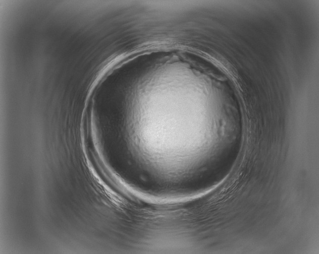 X0000056371440200509021803