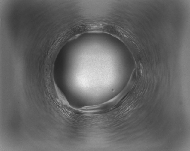 X0000056371441200509021802