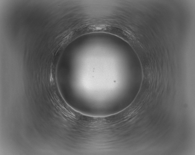 X0000056371442200509021802