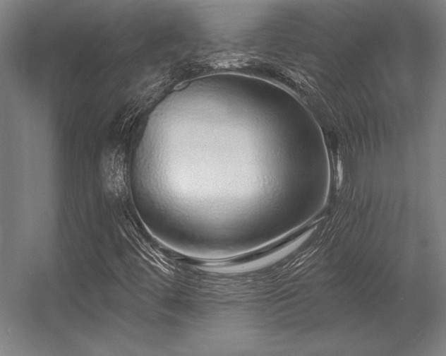 X0000056371444200509021802