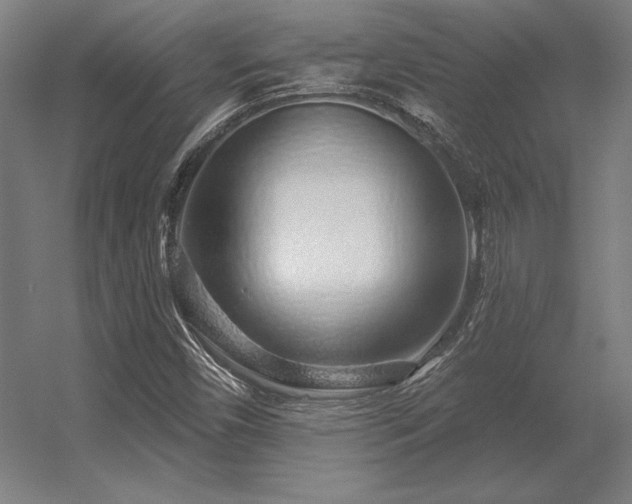 X0000056371450200509021802