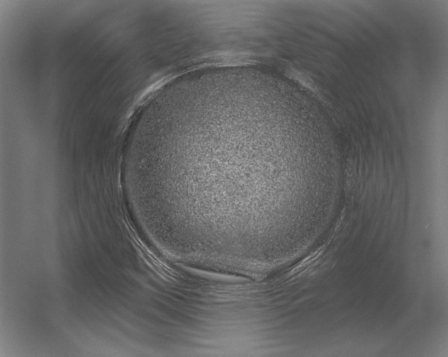 X0000056371451200509021802