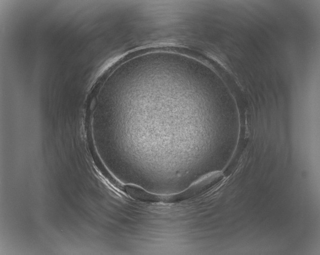 X0000056371452200509021802