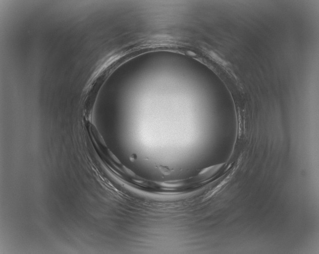 X0000056371453200509021802