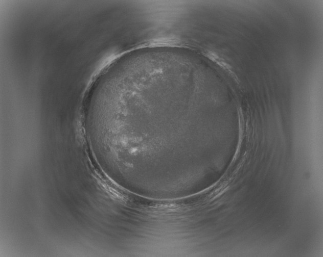 X0000056371454200509021801