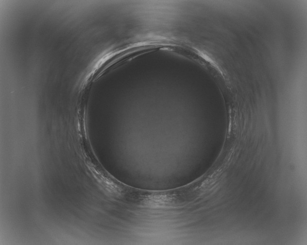 X0000056371455200509021801