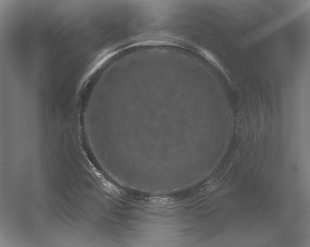 X0000056371456200509021801