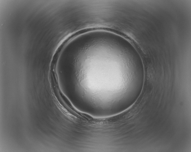 X0000056371460200509021801