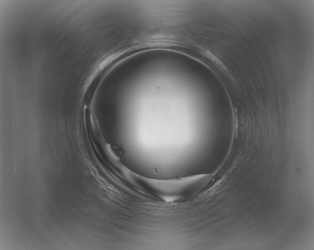 X0000056371461200509021801