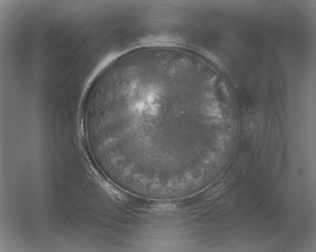 X0000056371462200509021801